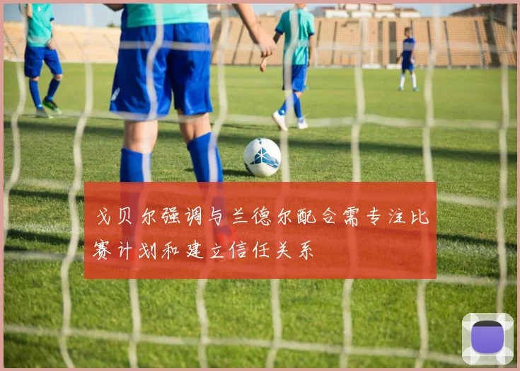 戈贝尔强调与兰德尔配合需专注比赛计划和建立信任关系
