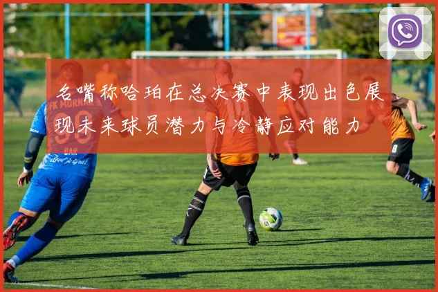名嘴称哈珀在总决赛中表现出色展现未来球员潜力与冷静应对能力